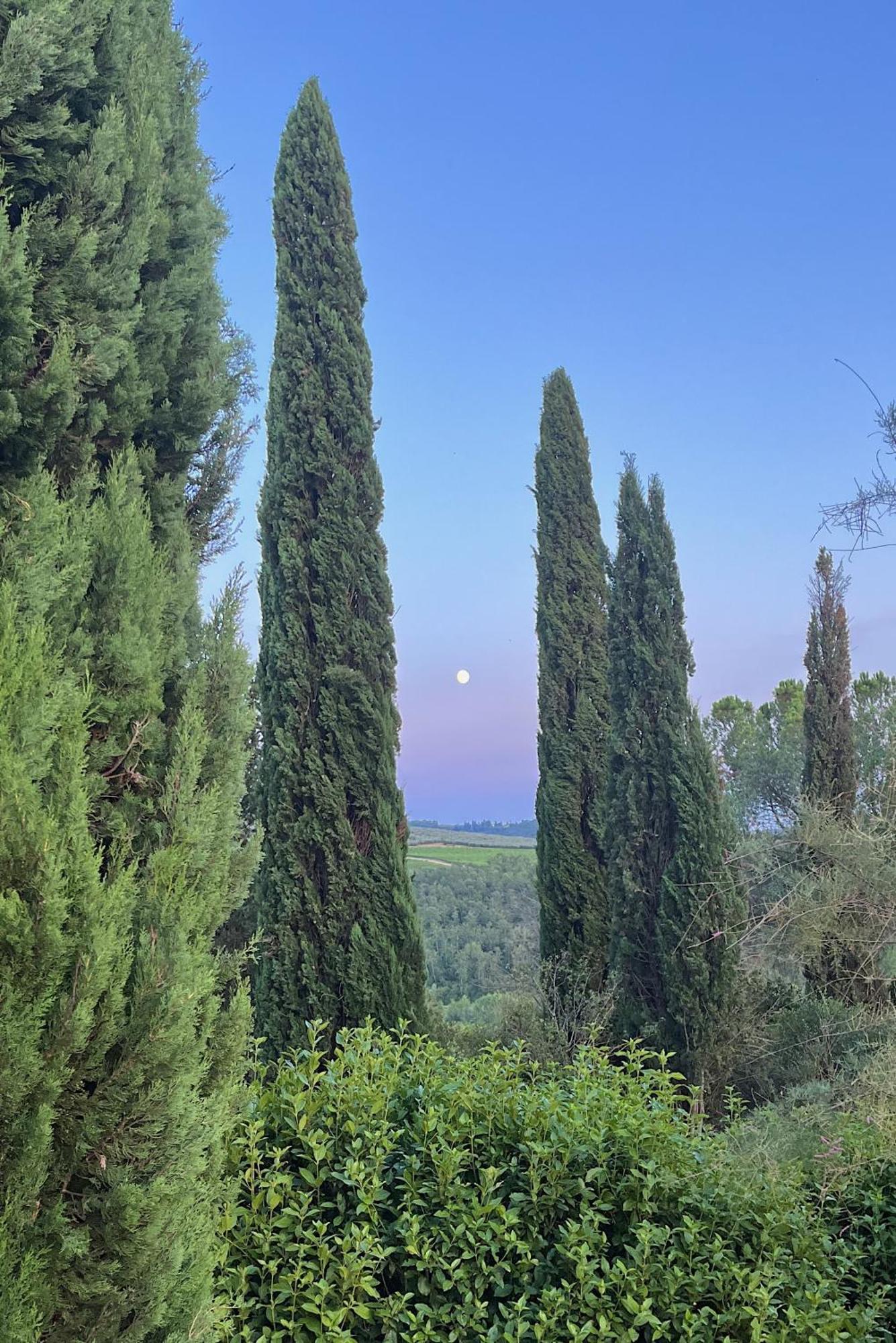 Villa Tre Colli - In The Heart Of Tuscany Чертальдо Экстерьер фото